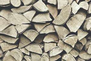 女人梦见蛇好不好(女人梦见蛇什么预兆)