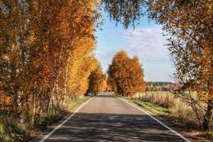 梦见孕妇流血是什么意思(梦见孕妇出血)