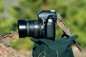 梦见自己的孩子出生(梦到自己孩子出生有什么意思)