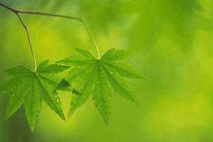 flash测试影片的快捷键是什么(flash测试)