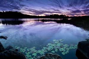 梦见孩子回来了(梦见远方的孩子回来了代表什么)