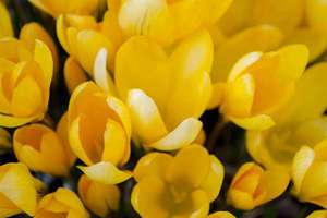 梦见很多药(梦见很多药是什么意思)