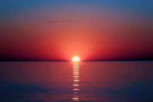 给母猫起名字(10个软萌猫咪名)