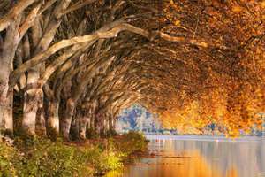 梦见小学同学喜欢我(梦见小学同学喜欢我有什么预兆)