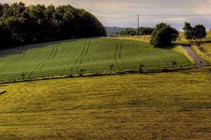 梦见考试迟到了很着急(梦见考试迟到了很着急预示着什么)