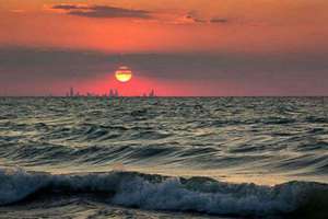 梦见自己的偶像(梦见自己的偶像有什么寓意吗)