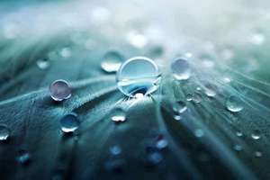 梦见黑猫进屋(梦见黑猫入宅是什么意思)