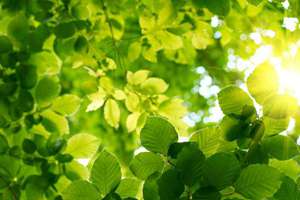 己时(是现在的什么时间)