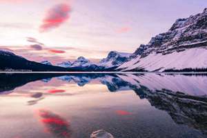 梦见大水牛是什么兆头(有人了解门帘子是什么意思吗)