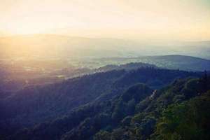 梦见炒花生(梦见炒花生有什么预兆)