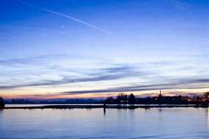 梦见地上全是虫子(梦见地上全是虫子是什么意思)