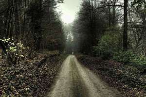 梦见前男友和他女朋友(梦见以前的男友和他女朋友有什么预兆)