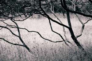 1997年多大(97年多大年龄了属什么)