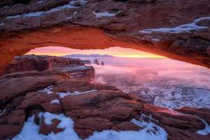 梦见别人牵着牛(梦见别人牵牛是什么预兆)