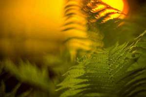 面相看眉毛(观察眉毛的步骤如何)