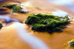 女人梦见磨(梦见磨是什么意思)