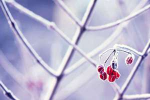 属猪人起名适合用的字(属猪的取名带什么字好)