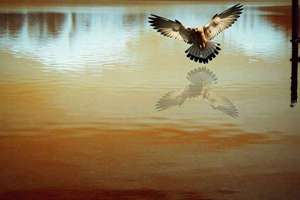 10月10号运势(十月10日运势)