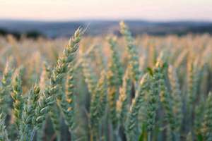 梦见游泳馆(梦见在游泳馆游泳有什么预兆)