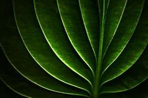 濠起名字字的含义(濠的取名寓意是什么)