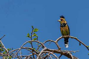 2021年中国人口(如何理解这一数据)