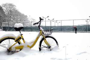 梦见狗吃小鸡(梦见狗把小鸡吃了有什么预兆)