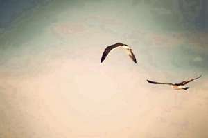 可爱的群名字(可爱的群名称)