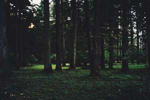 起名孙姓起名女孩名字(孙姓女孩起名大全)