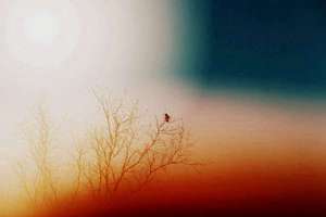 梦见别人满身是血(梦见别人满身是血是什么意思)