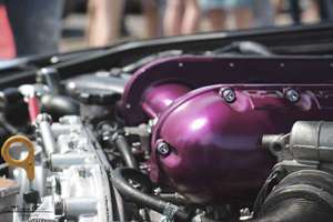 梦见四只蛇(梦见四条蛇有什么预兆)