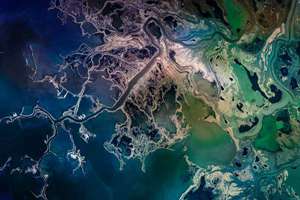 梦到找厕所是什么意思(梦到找厕所周公解梦)