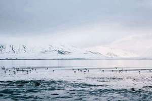 梦见自己身上好多蚂蚁(梦到自己身上爬了很多蚂蚁意味着什么)