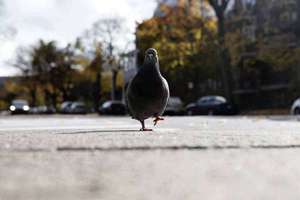 梦见自己在水中走(梦到自己在水中行走什么预兆)