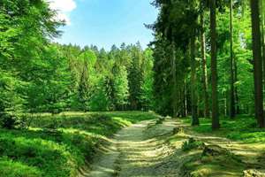 花店如何起名(有诗意又浪漫的花店名)