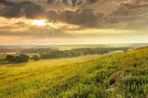 梦见厕所满(梦见厕所满了是什么意思预兆)