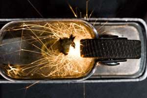 梦见饭少(梦见吃饭惧饭少意味着什么)