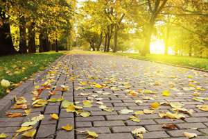 杭姓男孩起名(姓杭的男孩名字有哪些)