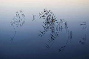 陆氏起名大全(姓陆取什么名字好)