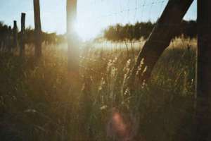 梦见自己想离婚(想离婚预示什么)