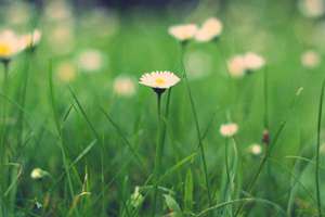 梦见孩子丢了大哭(梦见孩子丢了自己大哭预示着什么)