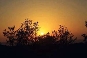 梦见自己生孩子男孩(梦见自己生孩子男孩代表什么意思)