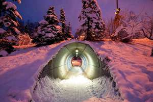 梦见洗纹身(梦见洗纹身是什么意思预兆)