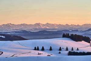 梦见自己和同事吵架(梦见和同事吵架是什么预兆)