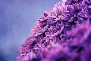 印刷起名(有寓意的印刷工厂名字)