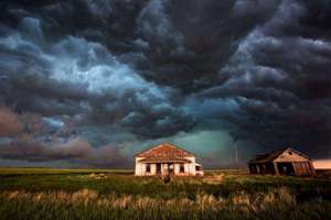 梦见爬树树(梦见爬树有什么预兆)