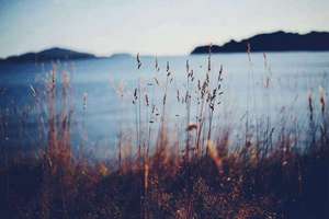 梦见大蛇在水里游(梦见大蛇在水里游有什么预兆)