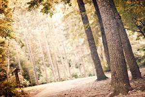 梦见摔下楼(梦见自己摔下楼梯是什么意思)