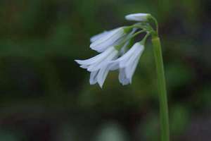 梦见上报纸(梦见上报纸是什么意思)
