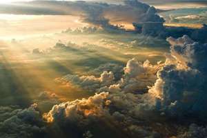 梦见抱着鱼(梦到抱鱼征兆好不好)