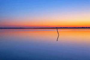 73年牛女在2021年运势(73年女牛2021运势)